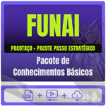 FUNAI - Pacotaço - Pacote Teórico Básico + Pacote Passo Estratégico de Conhecimentos Básicos