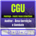 Auditor – Área Correição e Combate Pacotaço (1)
