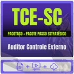 Auditor Controle Externo PACOTAÇO
