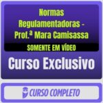Curso Completo de Normas Regulamentadoras - Prof.ª Mara Camisassa (Somente em Vídeo)