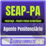 SEAP-PA (Agente Penitenciário) Pacotaço - Pacote Téorico + Pacote Passo