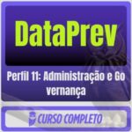 Perfil 11 Administração e Governança