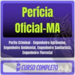 Perícia Oficial-MA (Perito Criminal - Engenheiro Agrônomo, Engenheiro Ambiental, Engenheiro Sanitarista, Engenheiro Florestal) Pós-Edital - 2026