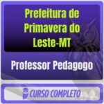 Professor Pedagogo primavvera mt