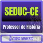 Professor de História