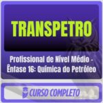 Profissional de Nível Médio – Ênfase 16 Química do Petróleo